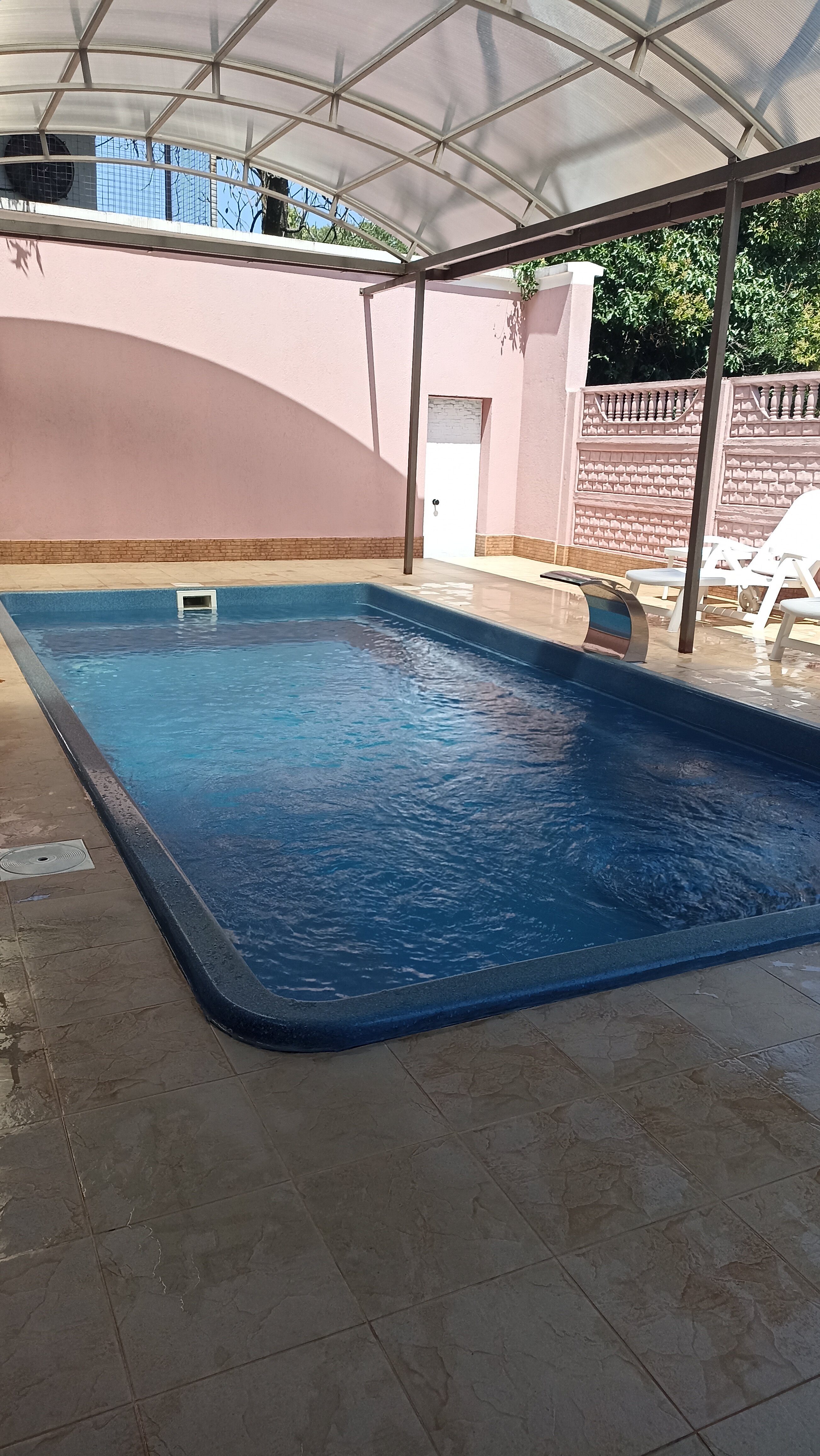 Фото Алая Роза