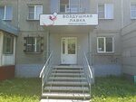 Воздушная лавка (prospekt Druzhby, 45) ، لوازم قضاء عطلة