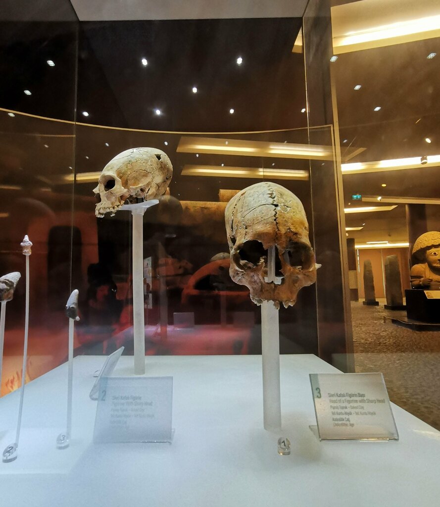 Museum Hatay Archaeology Museum, Antakya, photo