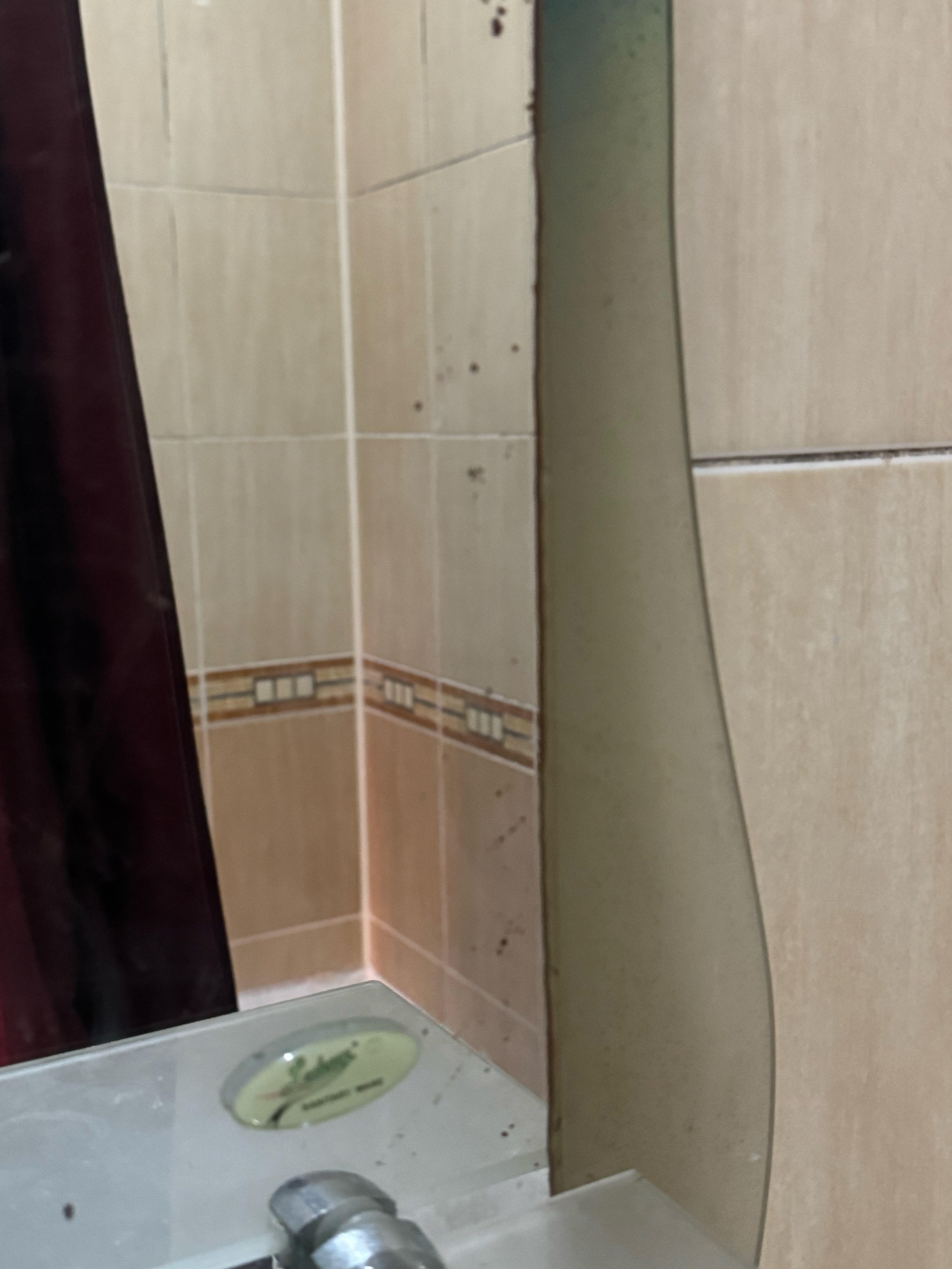 Фото Моцарт ин