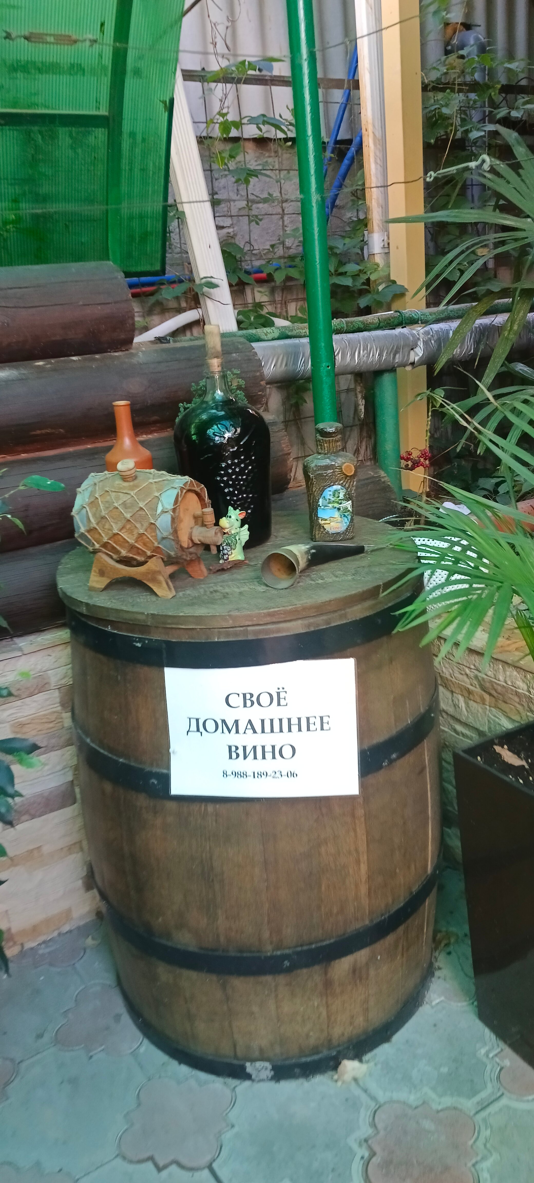 Фото Эдельвейс