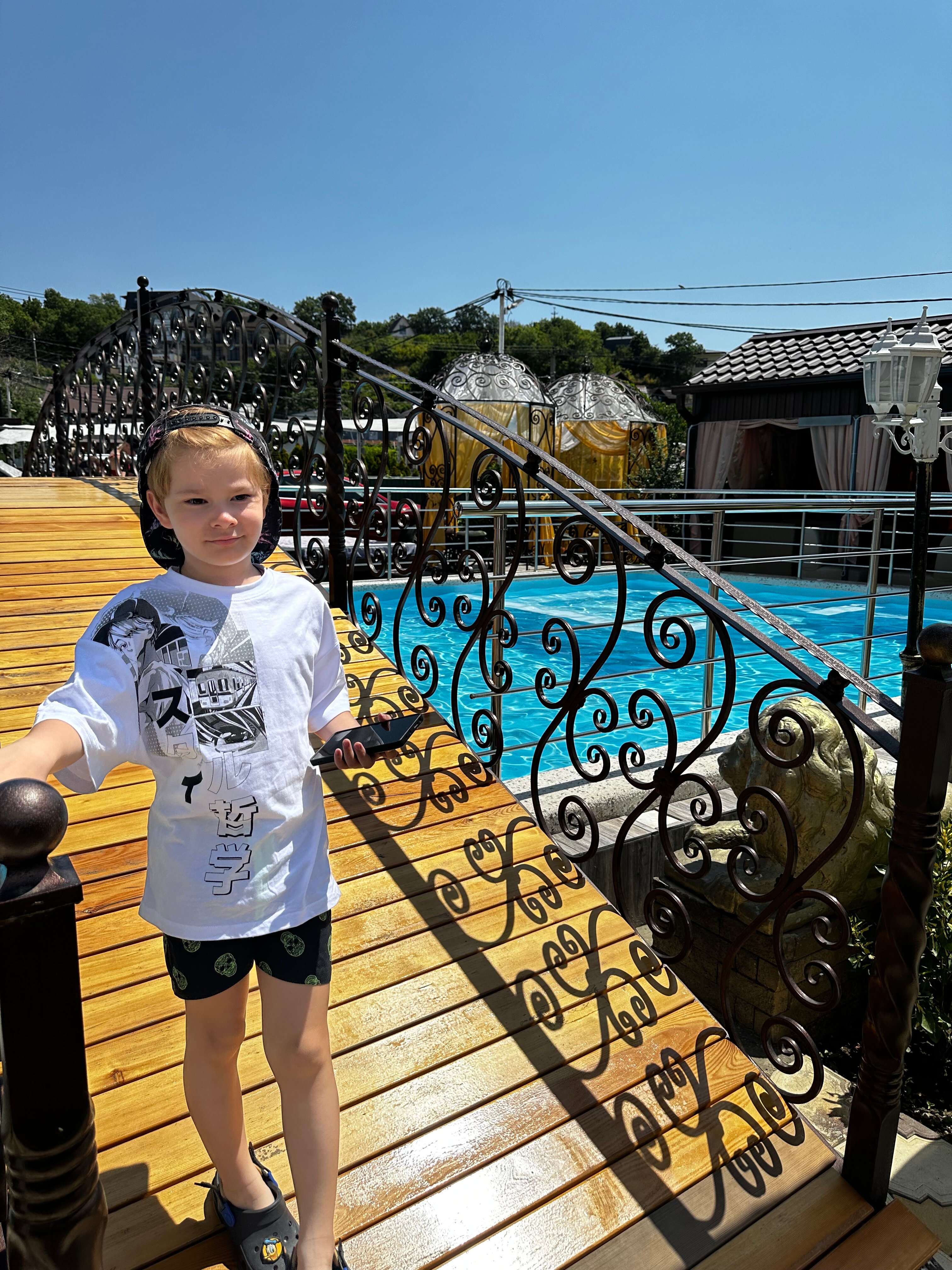 Фото Анютины Глазки