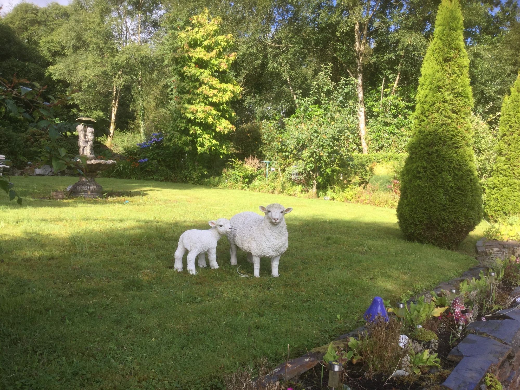 Фото Five Oaks Bed & Breakfast