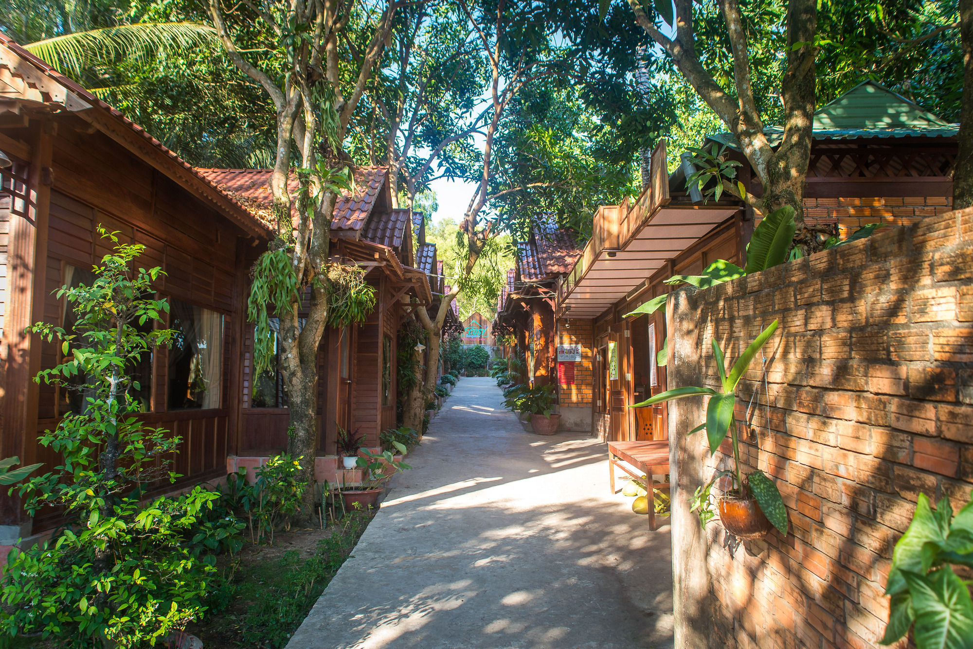 Фото Cosy Bungalow Phu Quoc