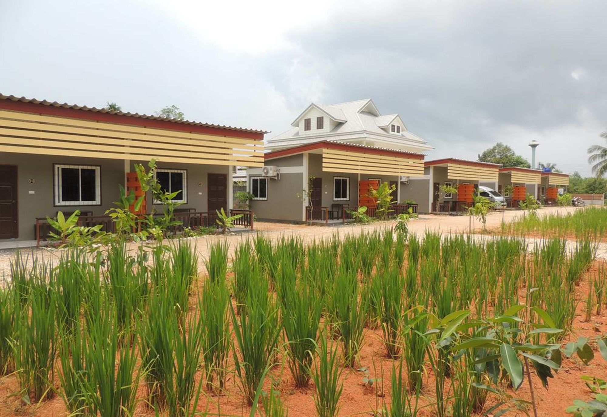 Фото Banana Lodge