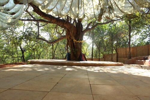 Гостиница Khaama Kethna Wellbeing Retreat Centre в Агонде