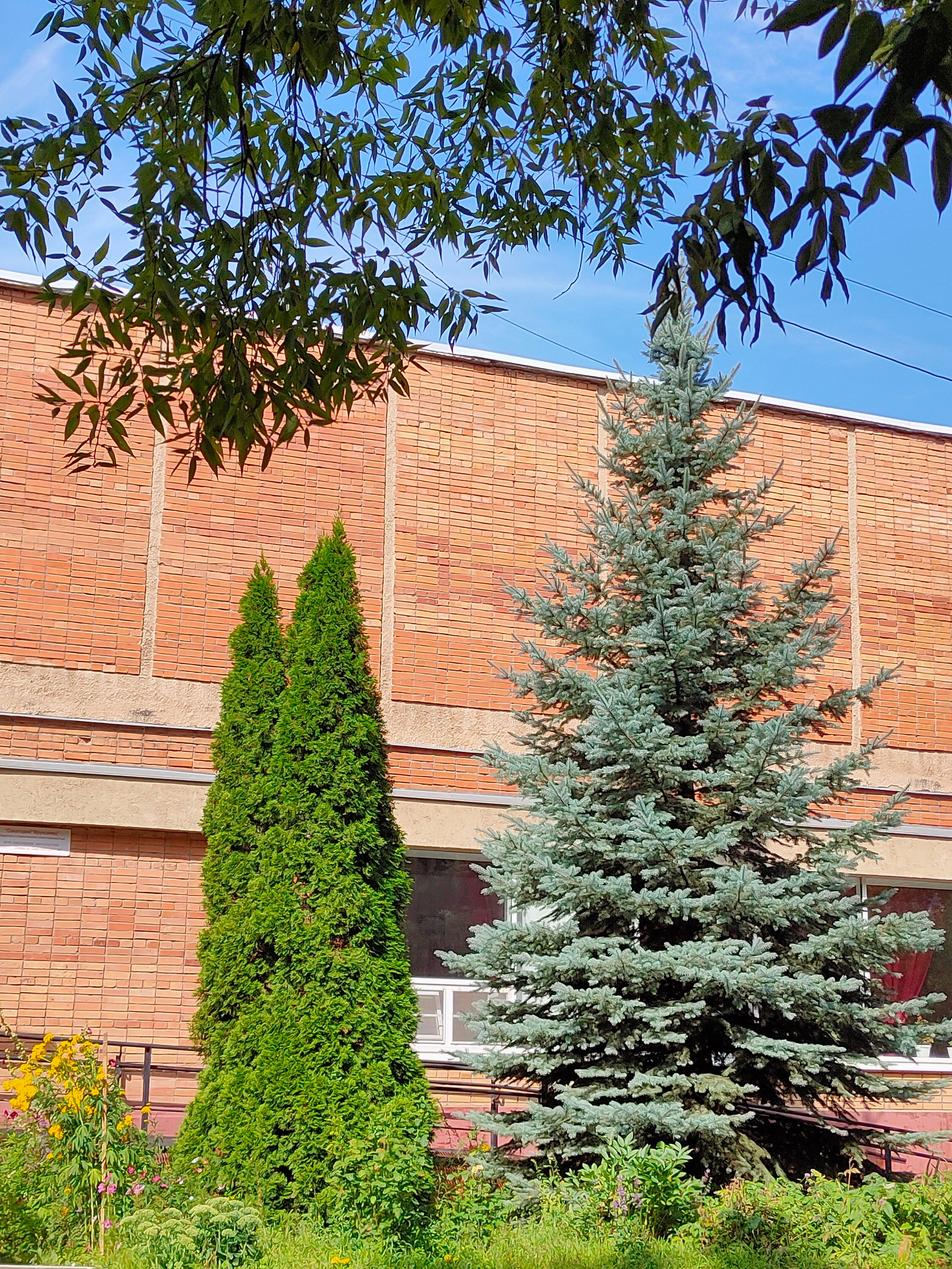 Фото Фрунзенец