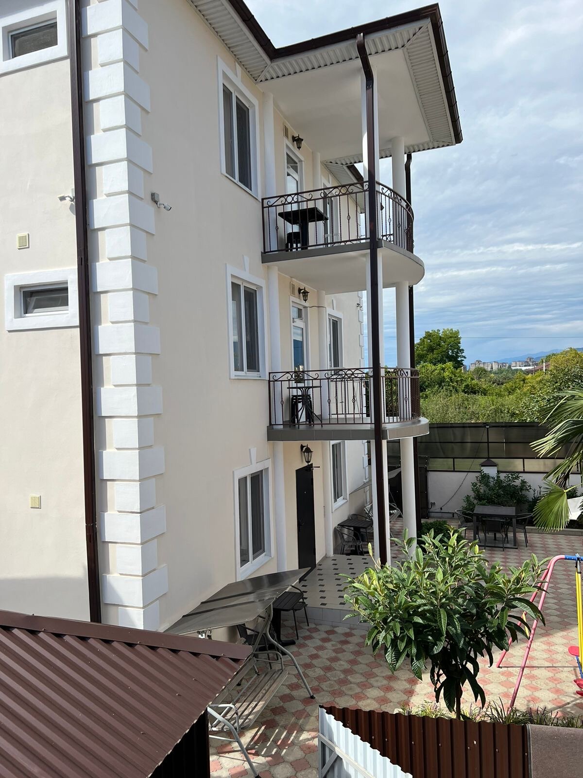 Фото Дельфин