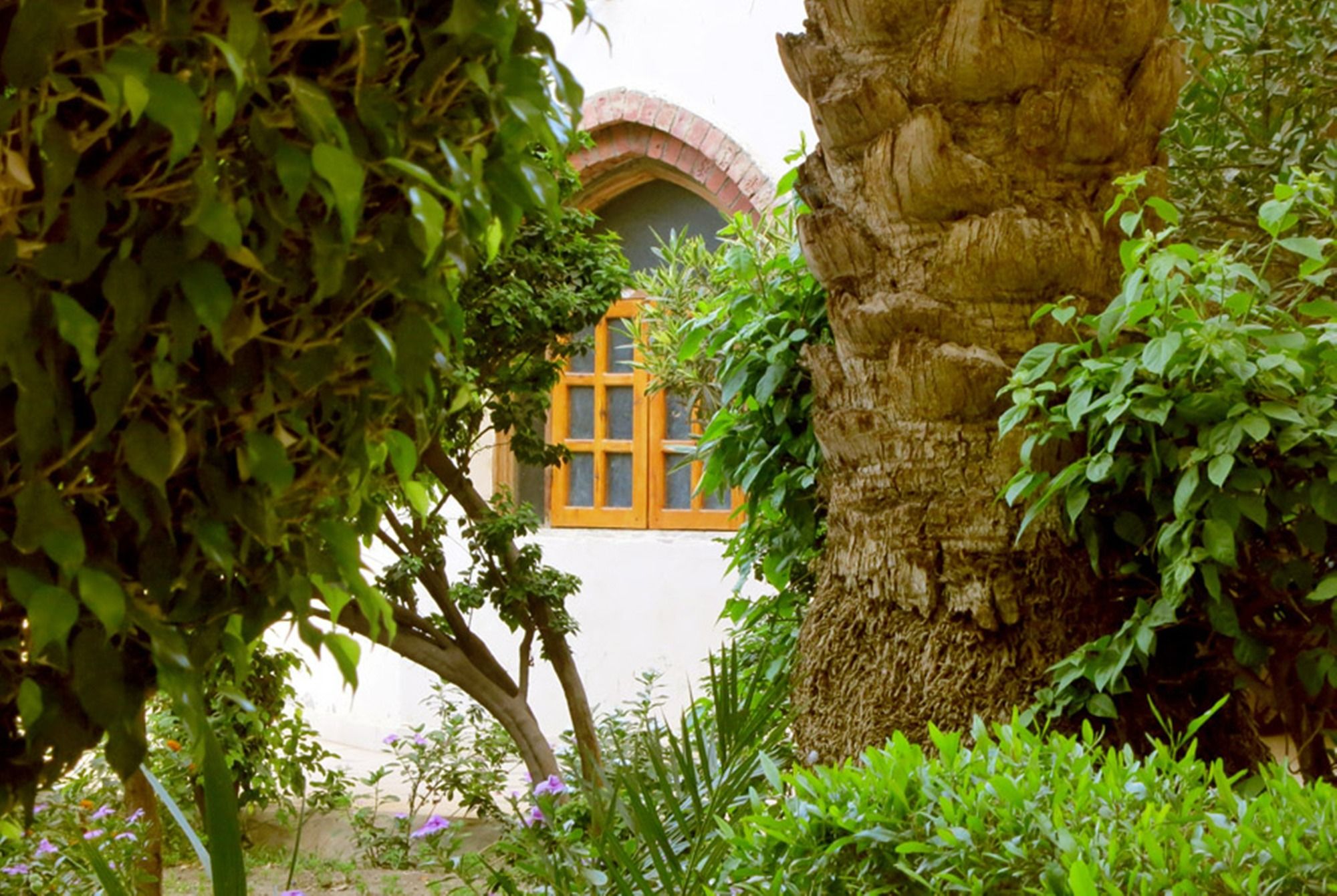 Фото Hotel Sheherazade