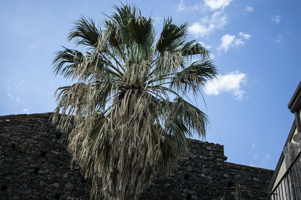 Фото Bed and Breakfast Opera