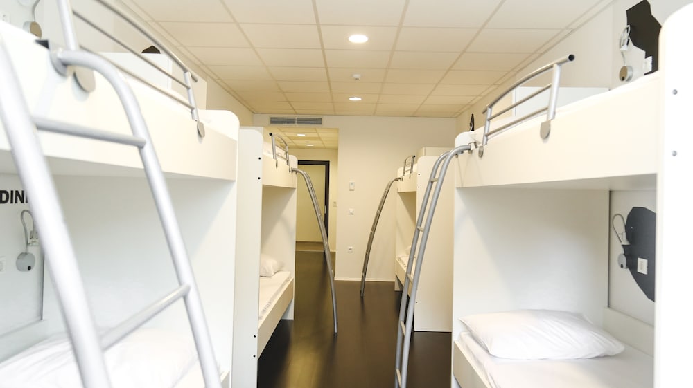 Фото 101 Dalmatinac