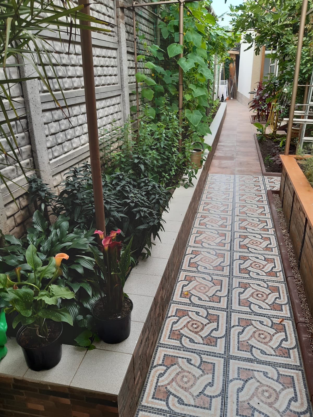 Фото Тайм Аут