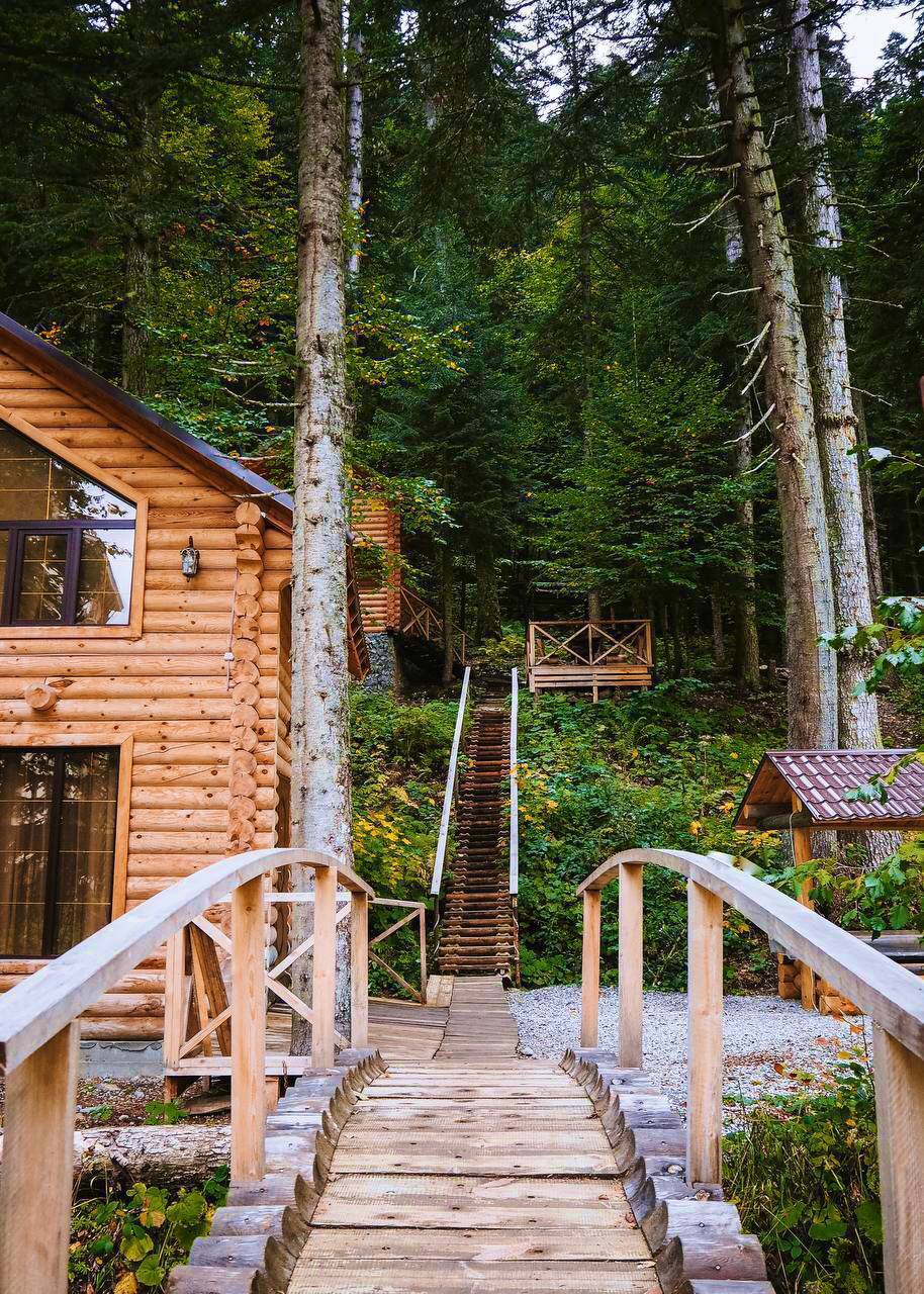 Фото Домик в лесу