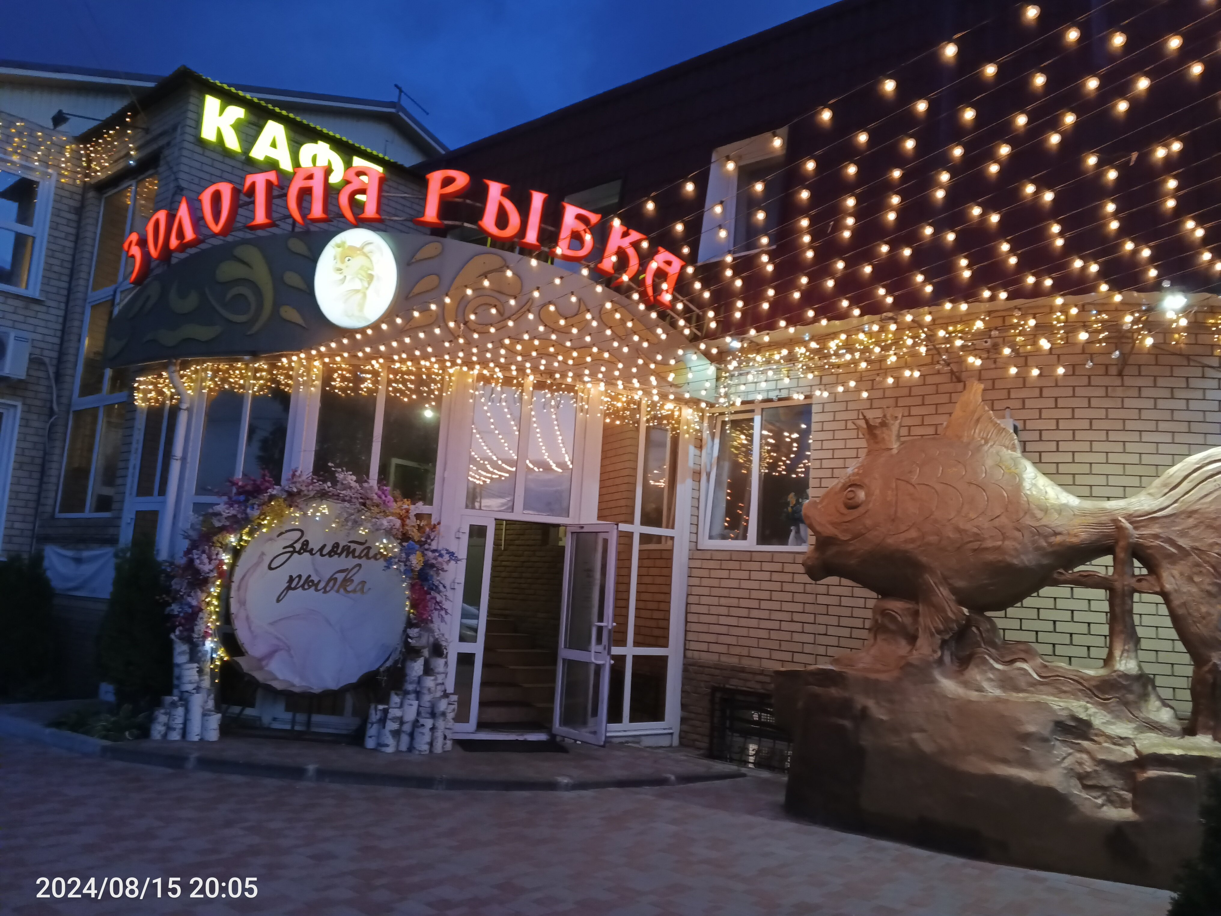 Фото Золотая рыбка