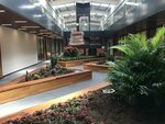 Legal Design (İstanbul, Pendik, Yenişehir Mah., Osmanli Boulevard, 5B) ، شركة بناء