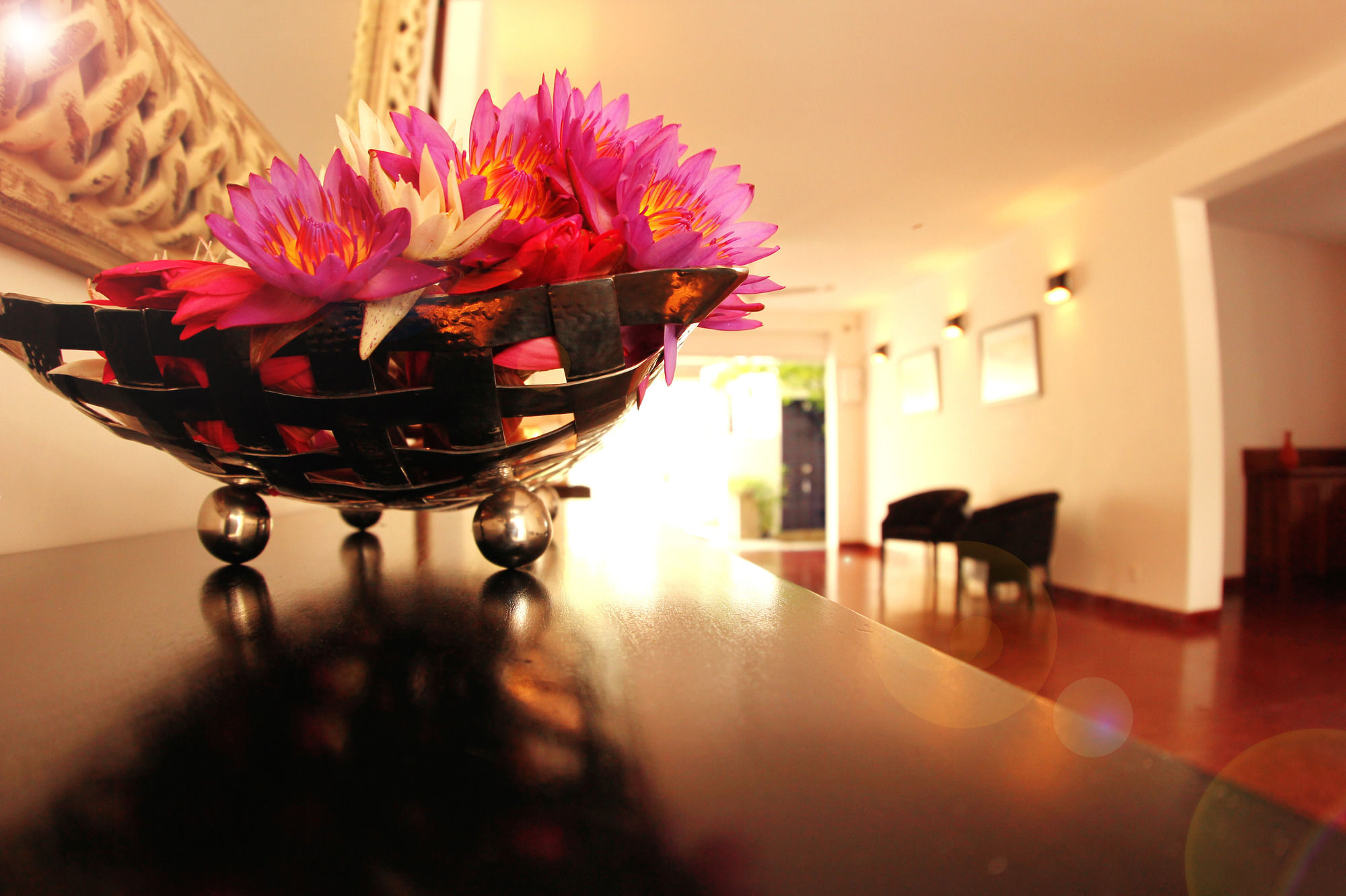 Фото The Villa in Lavinia