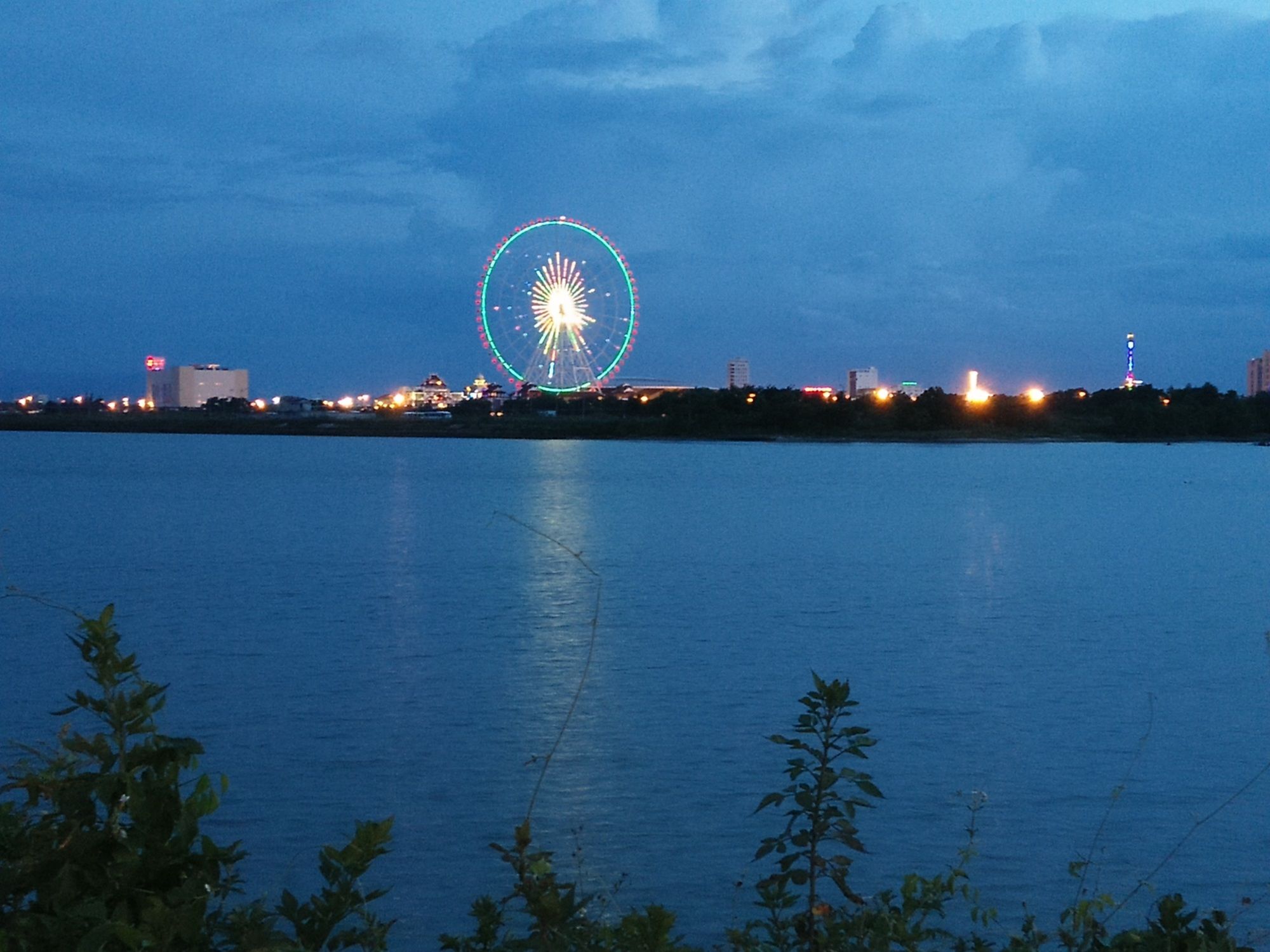 Фото Salamander Hotel and Apartment