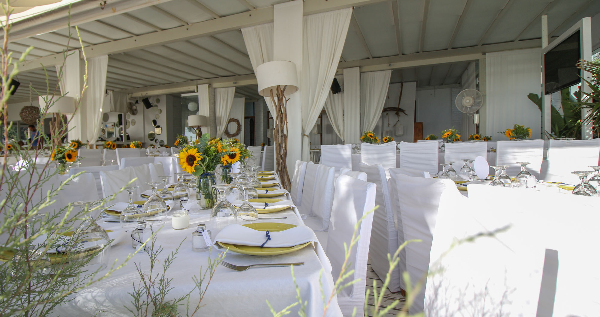 Фото Santana Beach