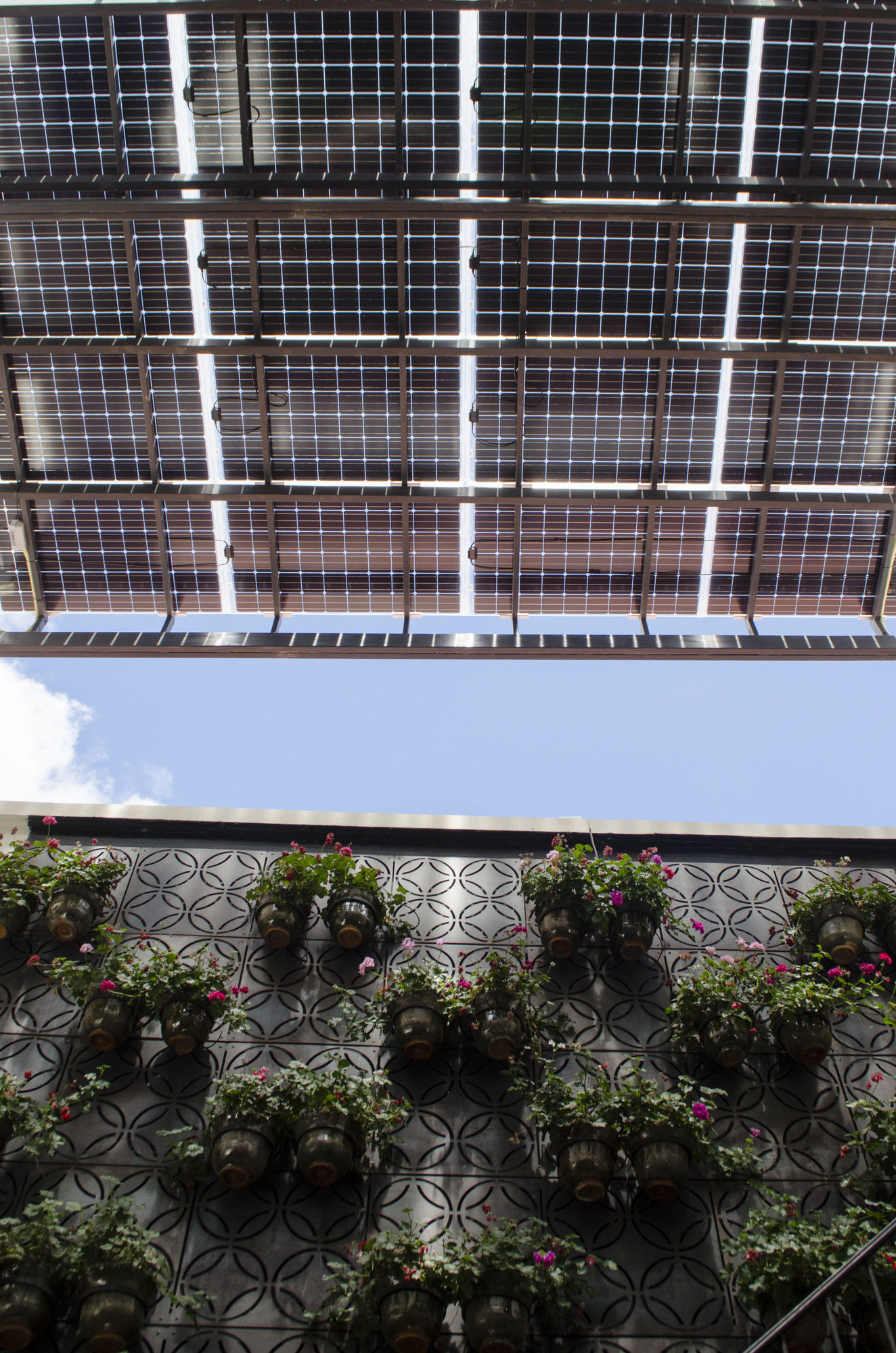 Фото Carlota Sustainable Design Hotel