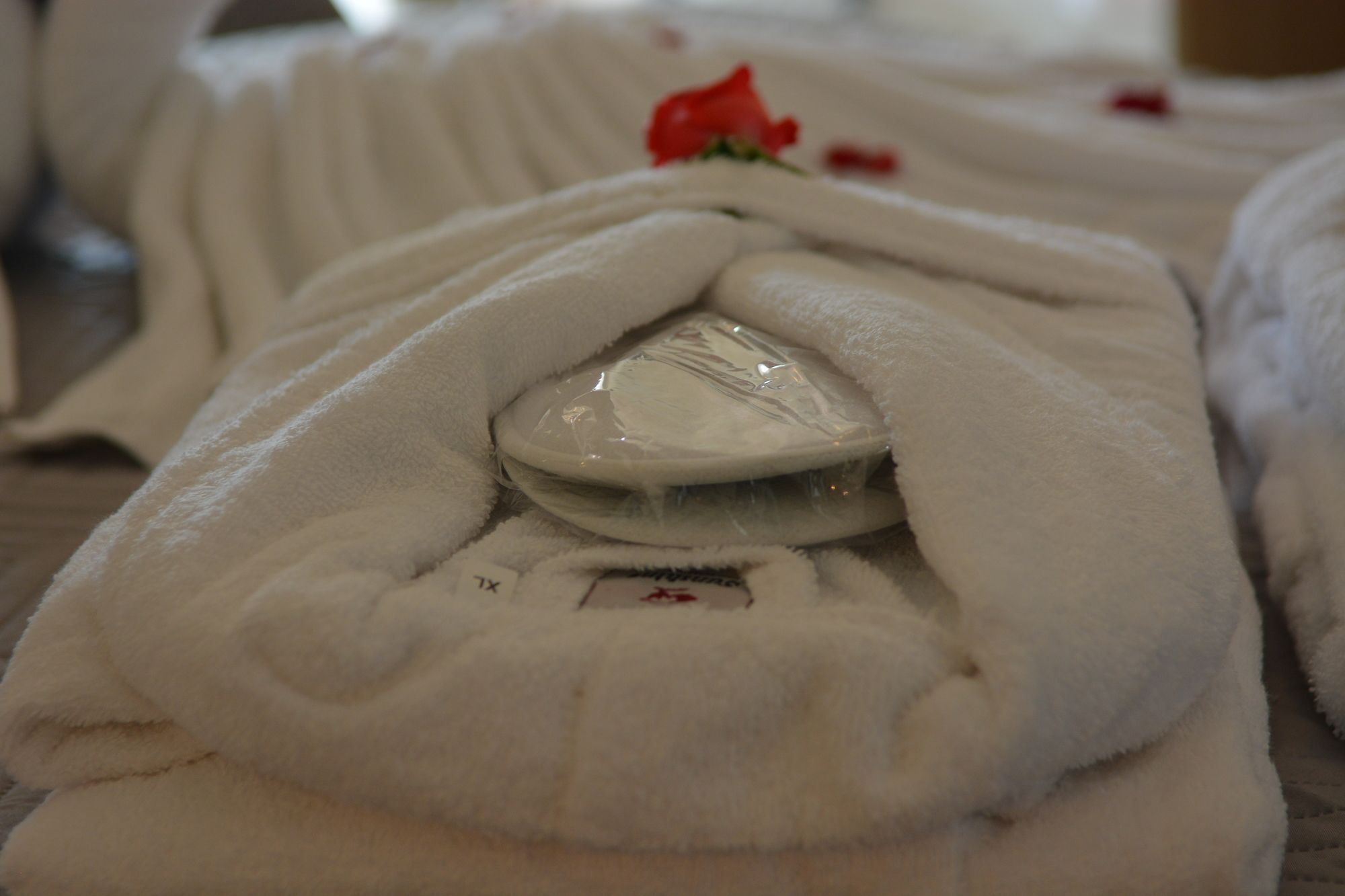 Фото Riposo Studios and Apartments