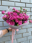 Flower studio (V Microdistrict, 37А) ، محل زهور