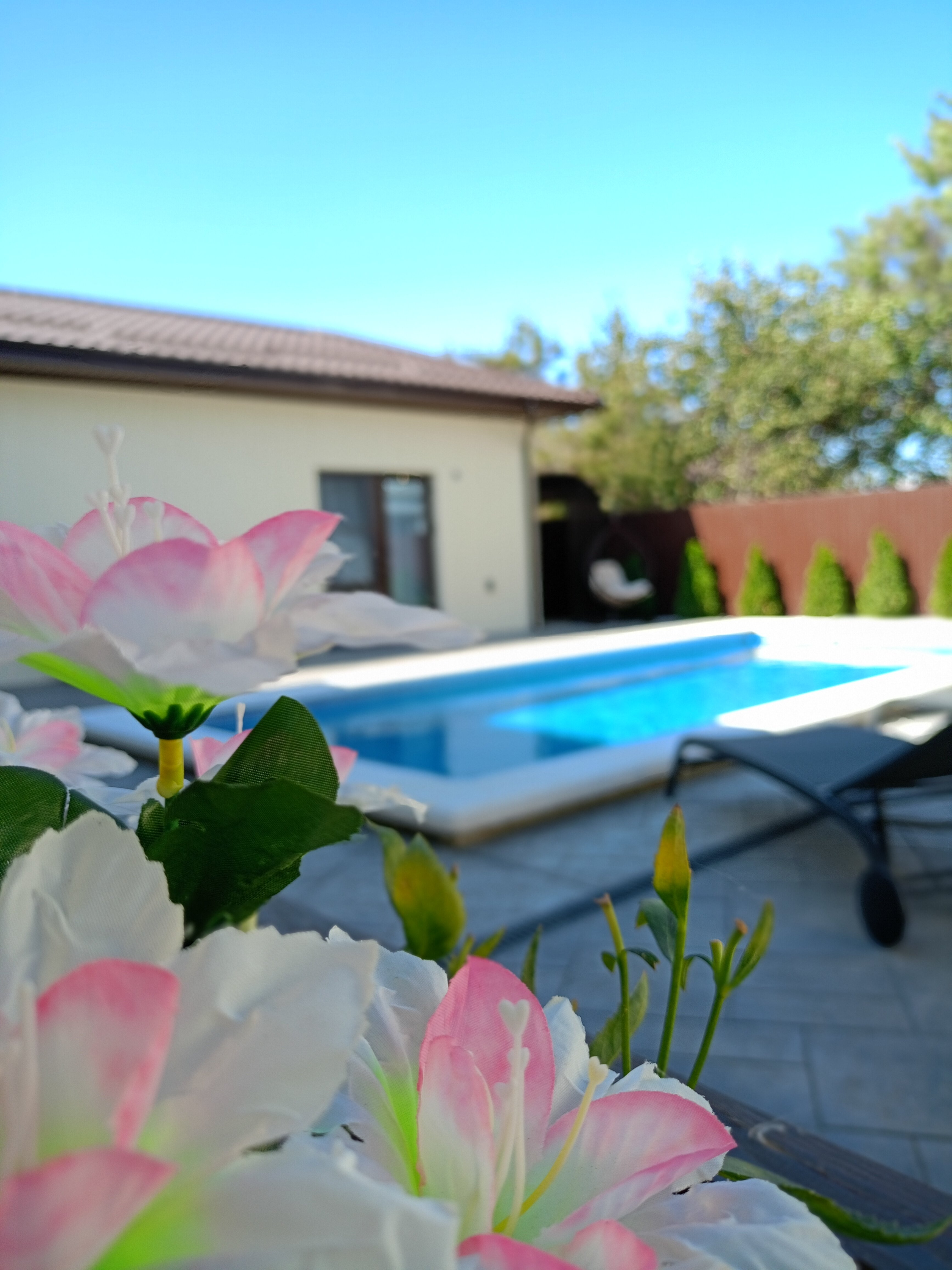 Фото Гала Визит