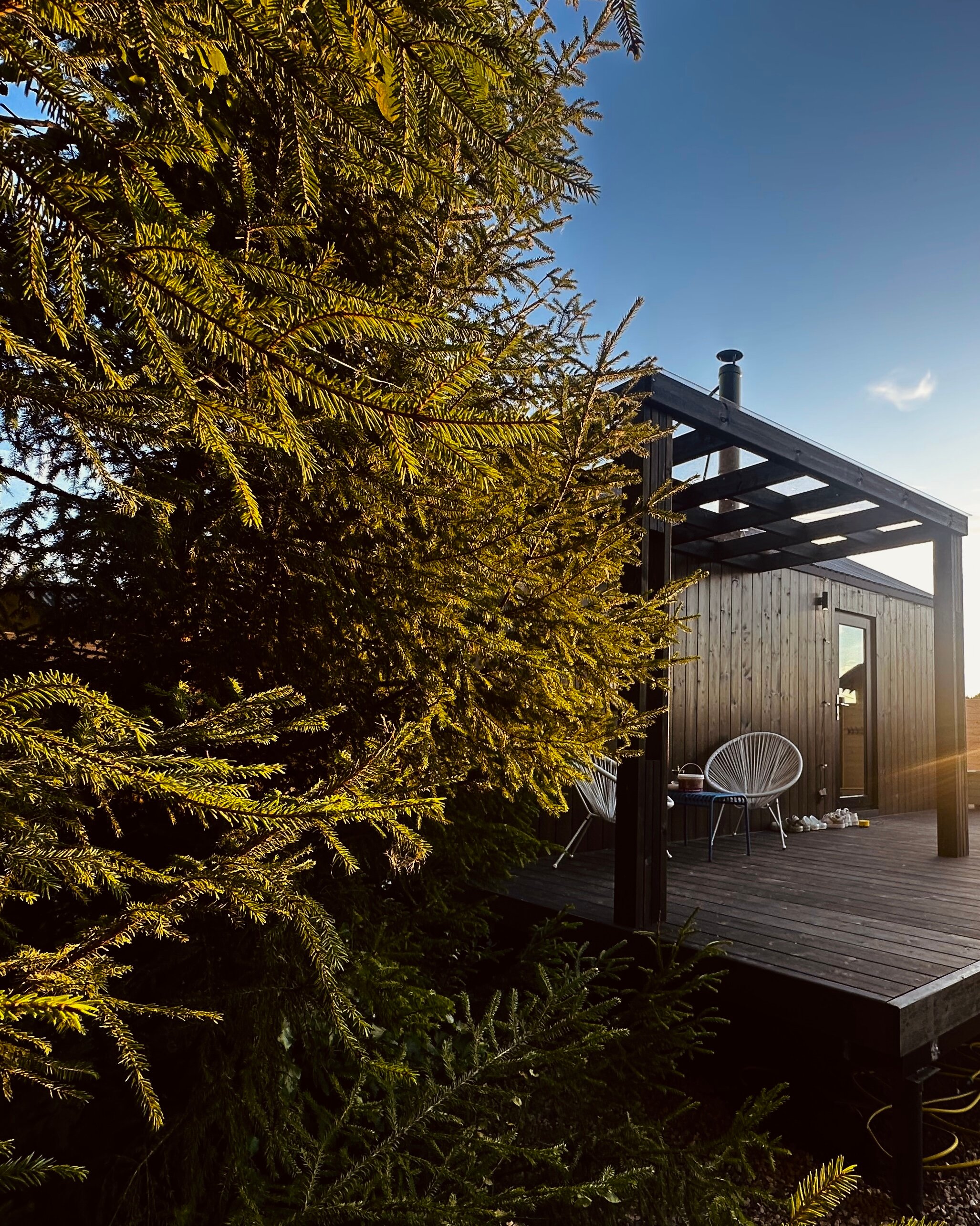 Фото Таймлесс