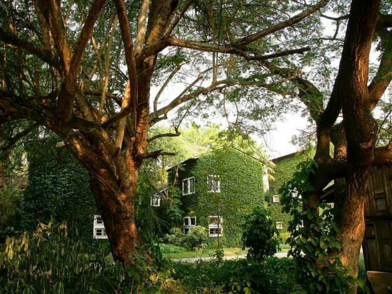 Фото Kaomai Lanna Resort