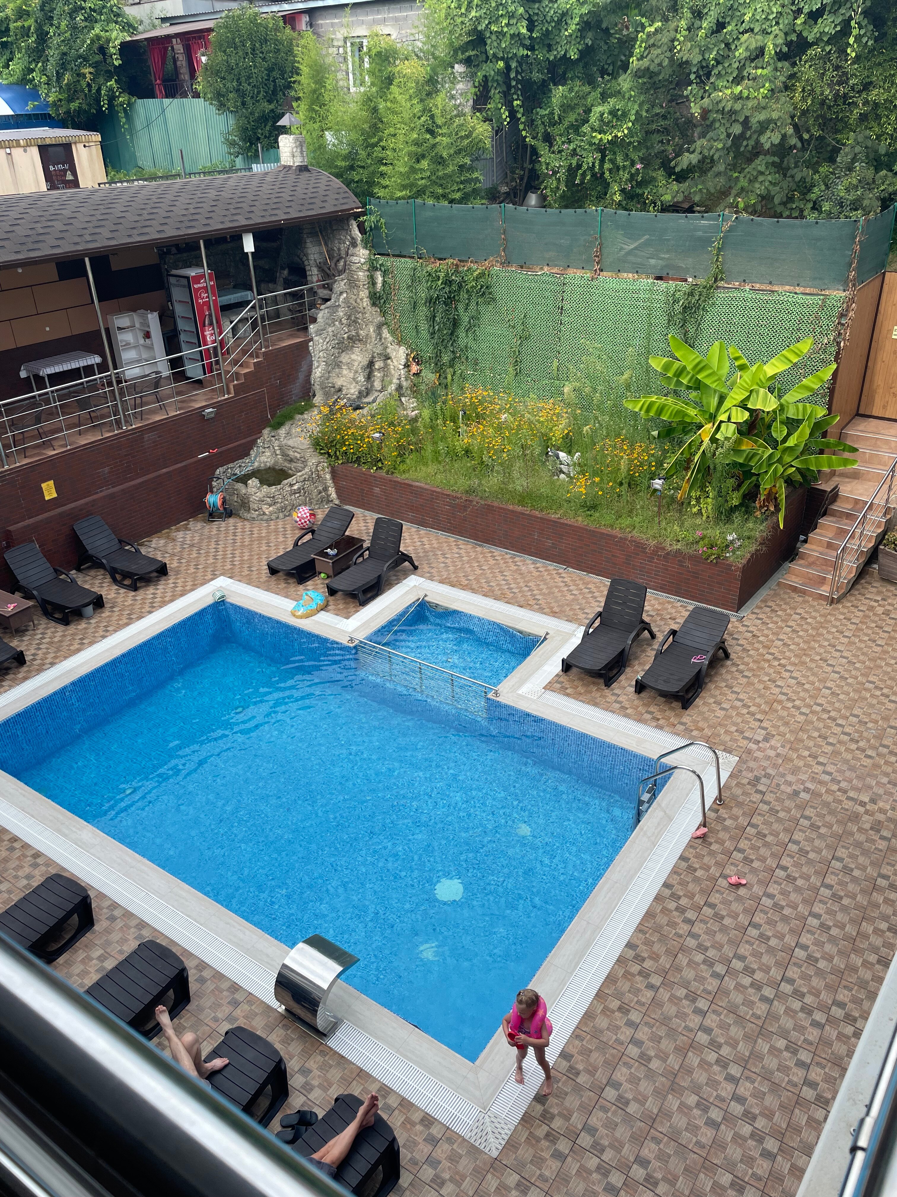 Фото Азалия Мимоза