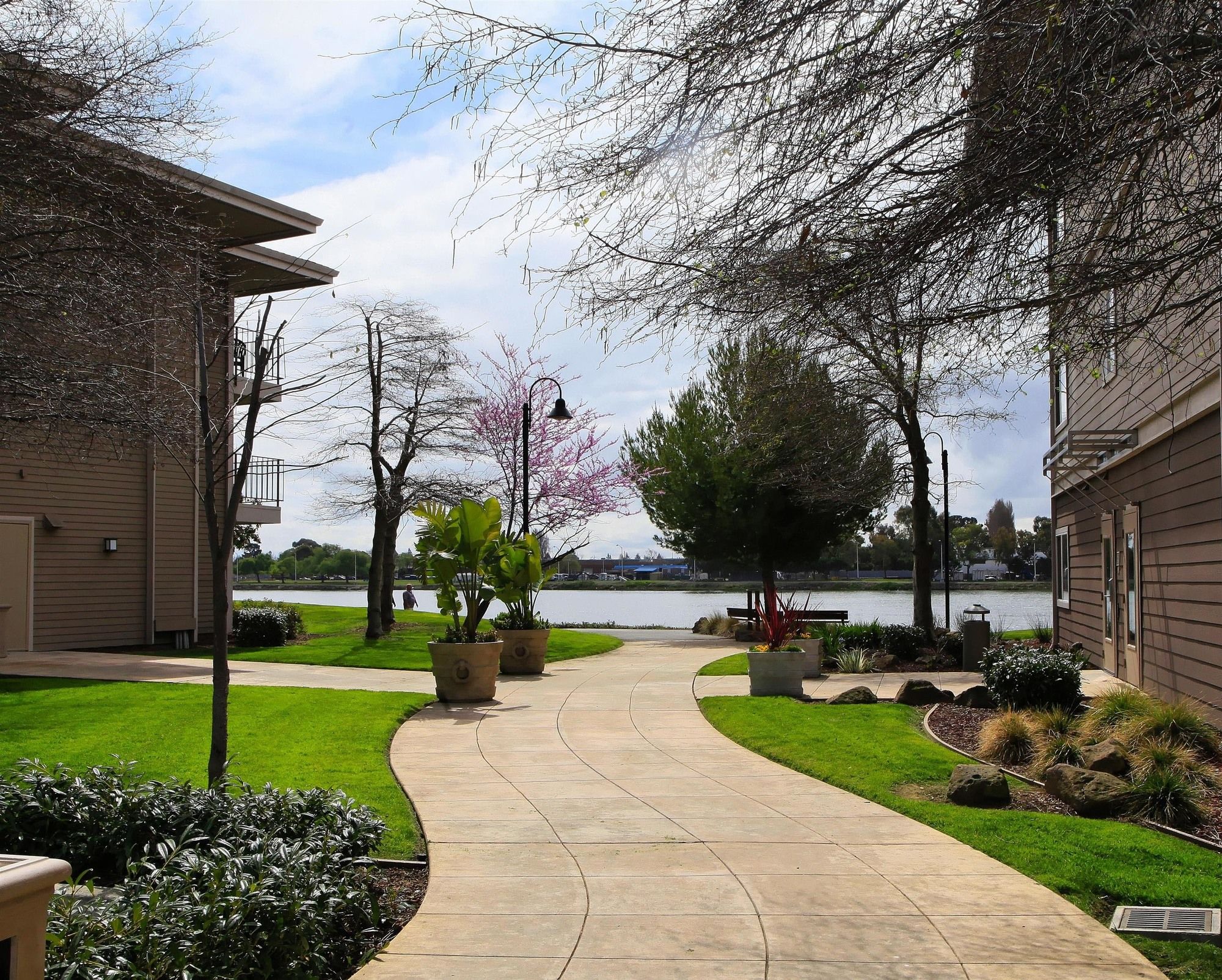 Фото Best Western Plus Bayside Hotel