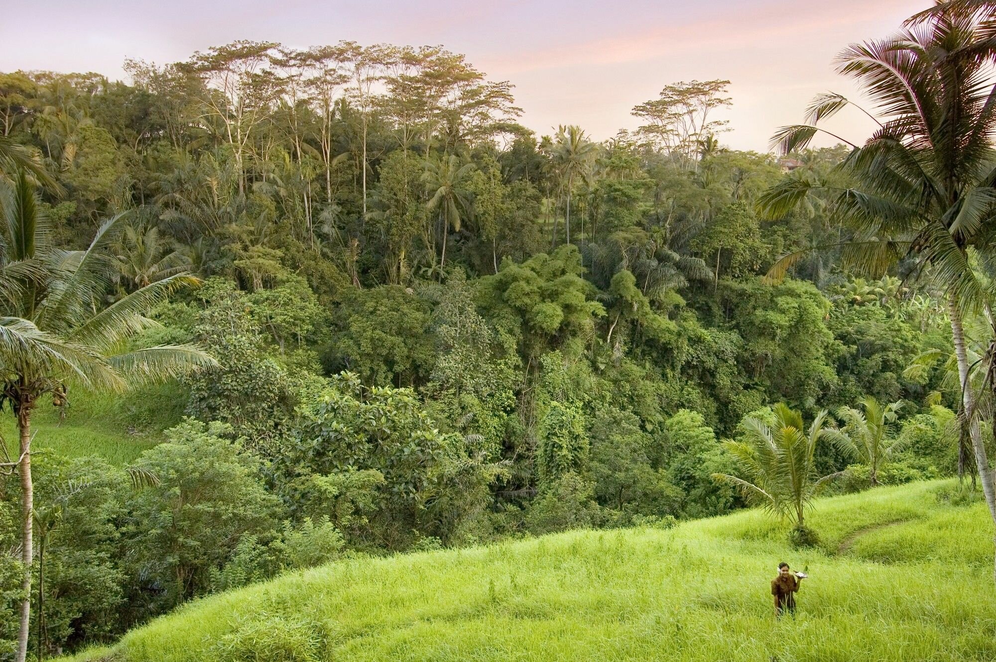 Фото Villa Vajra