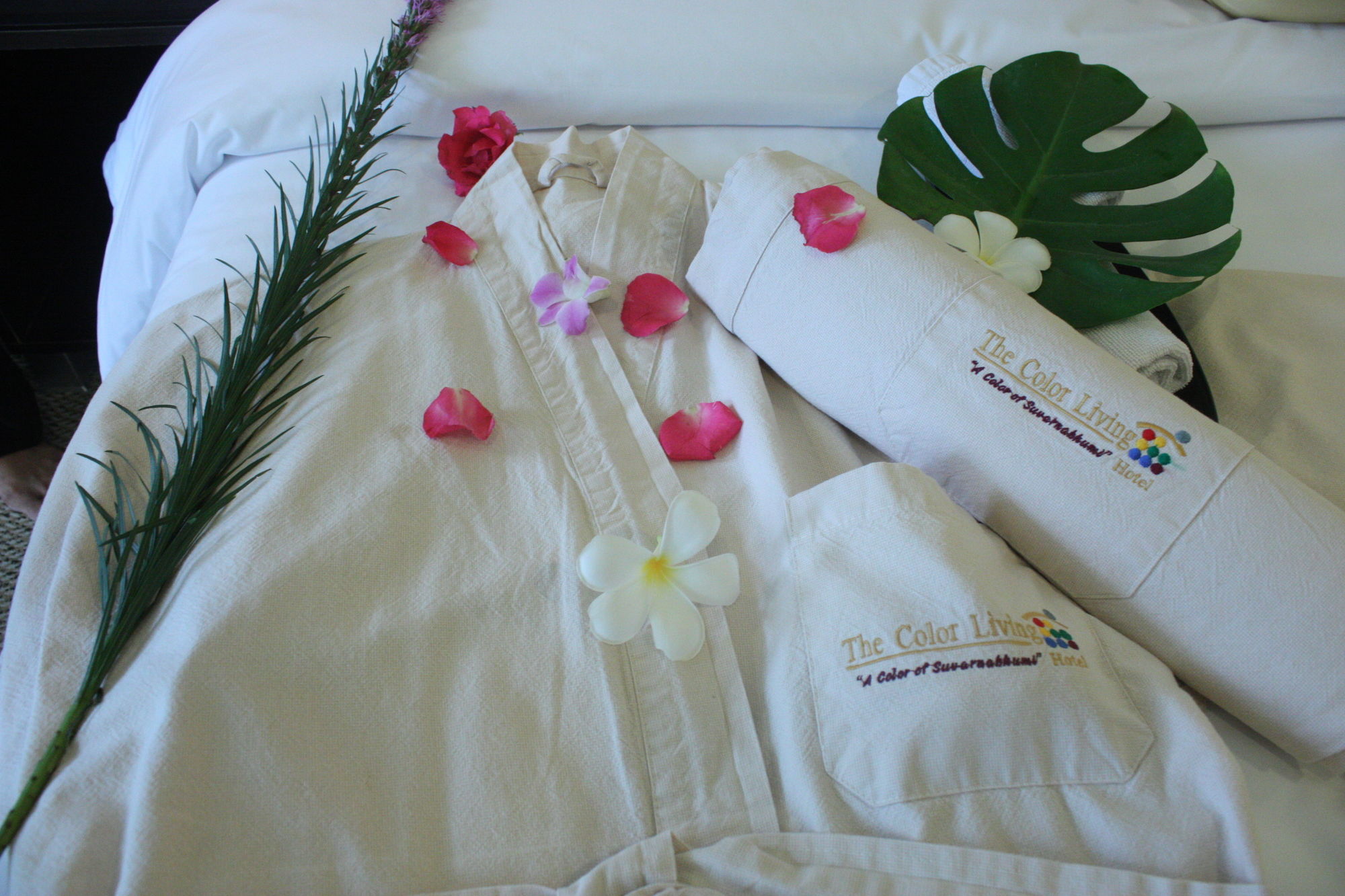 Фото The Color Living Hotel