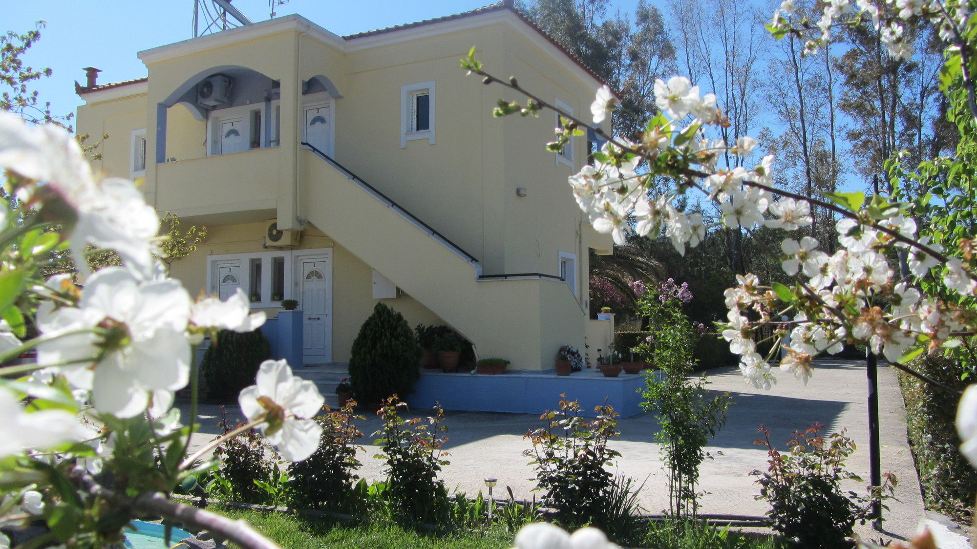 Фото Shine Studios