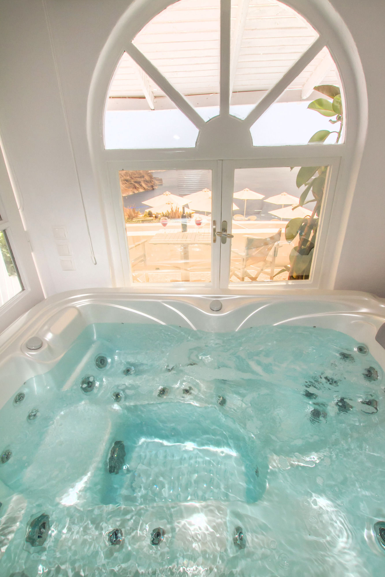 Фото Zenith Blue