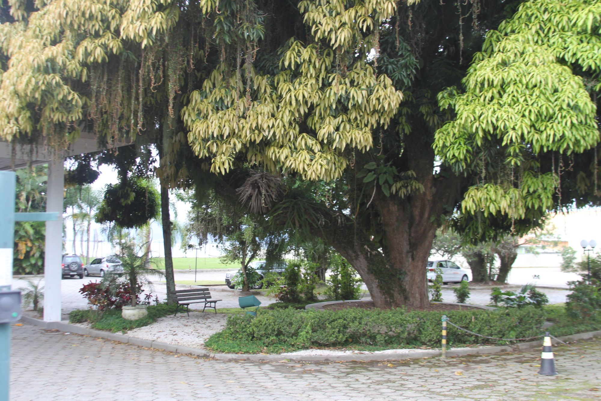 Фото Brisamar Suite Hotel