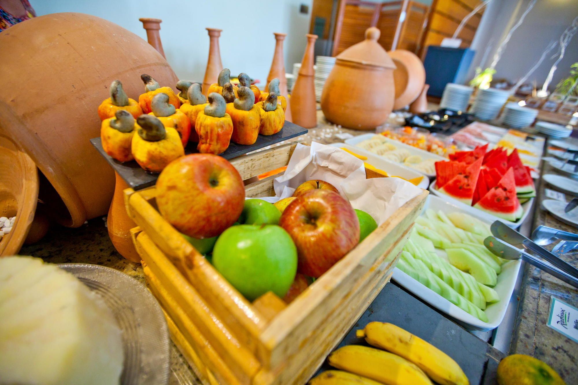 Фото Vidam Hotel Aracaju - Transamerica Collection