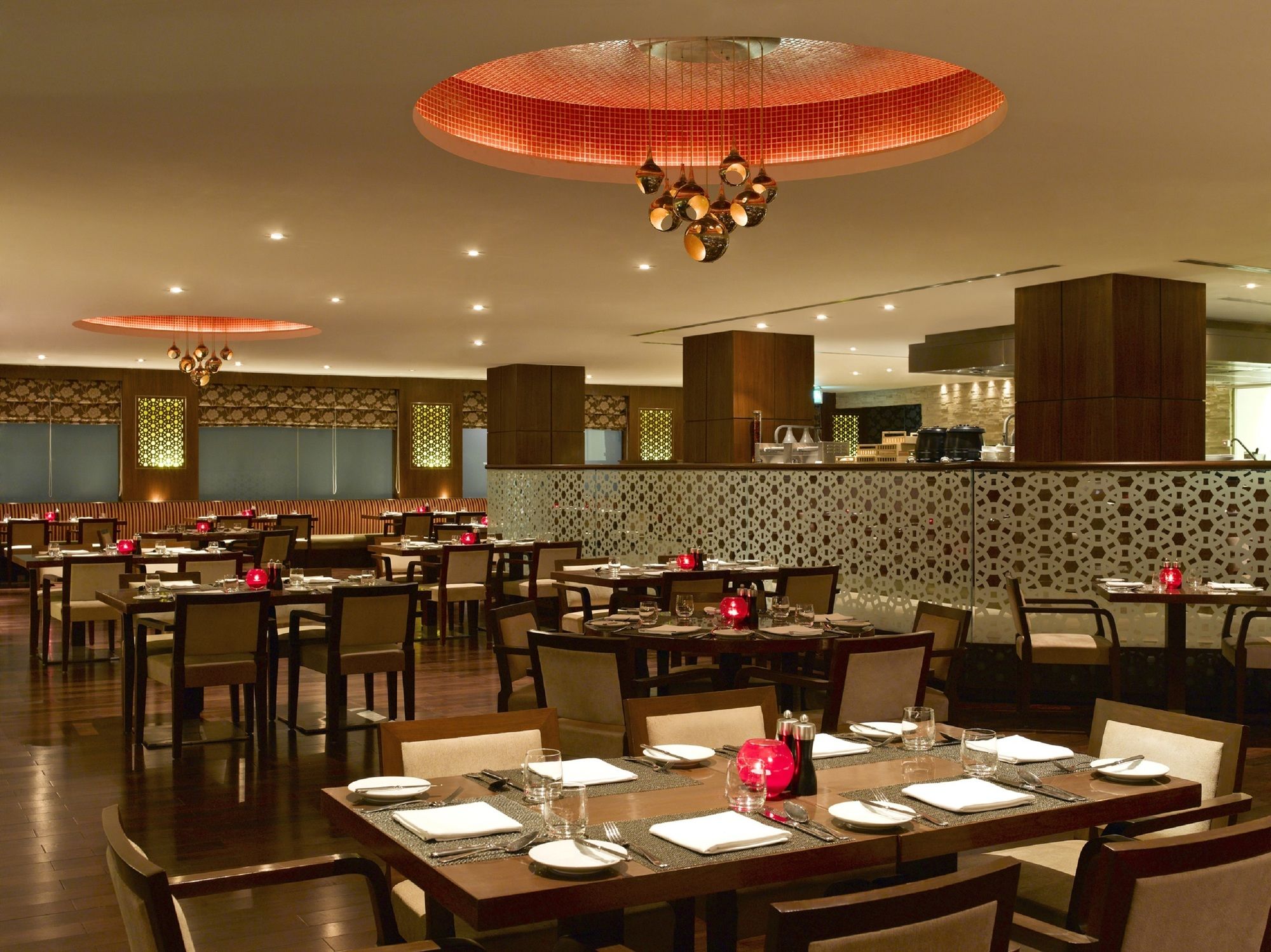 Фото Hilton Garden Inn New Delhi/Saket