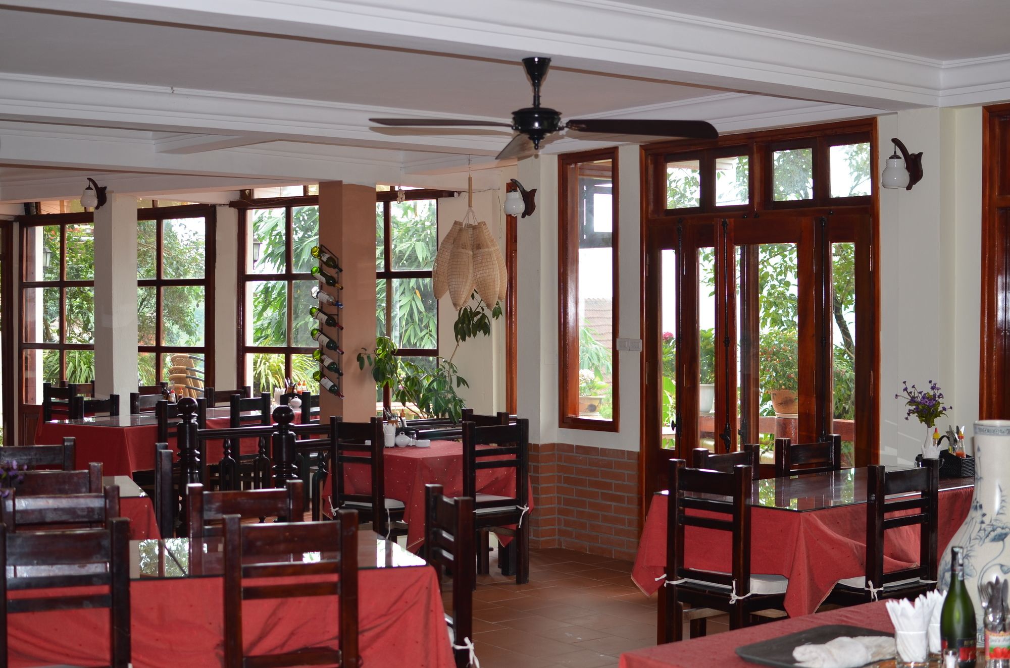 Фото Cat Cat View