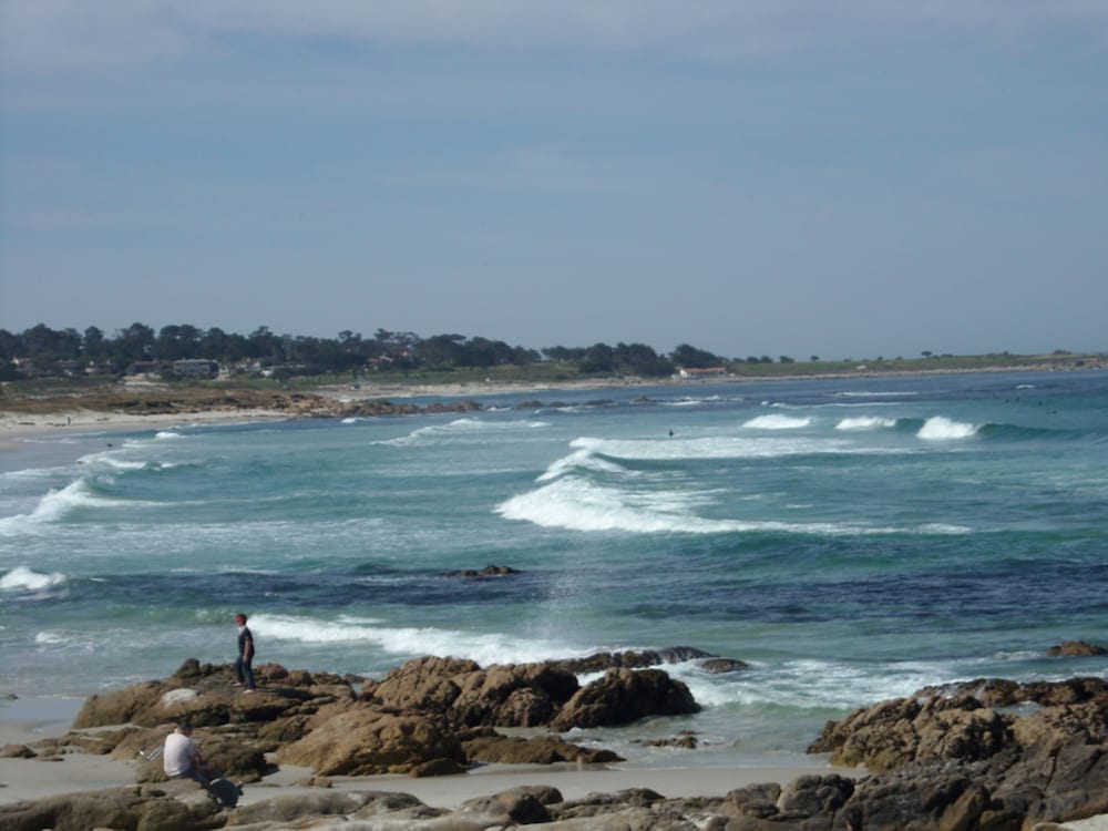 Фото Olympia Lodge