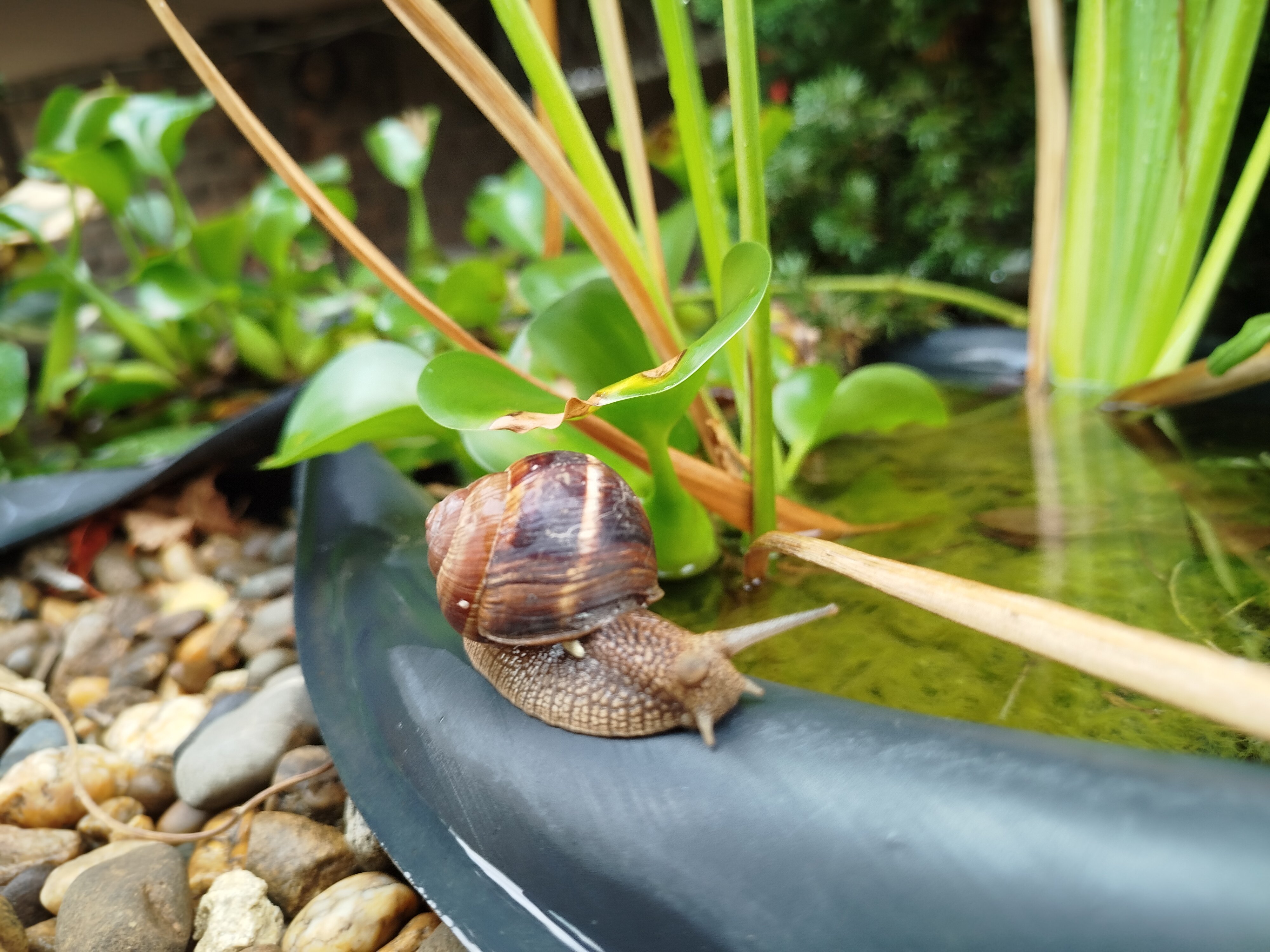 Фото Аква-Солярис