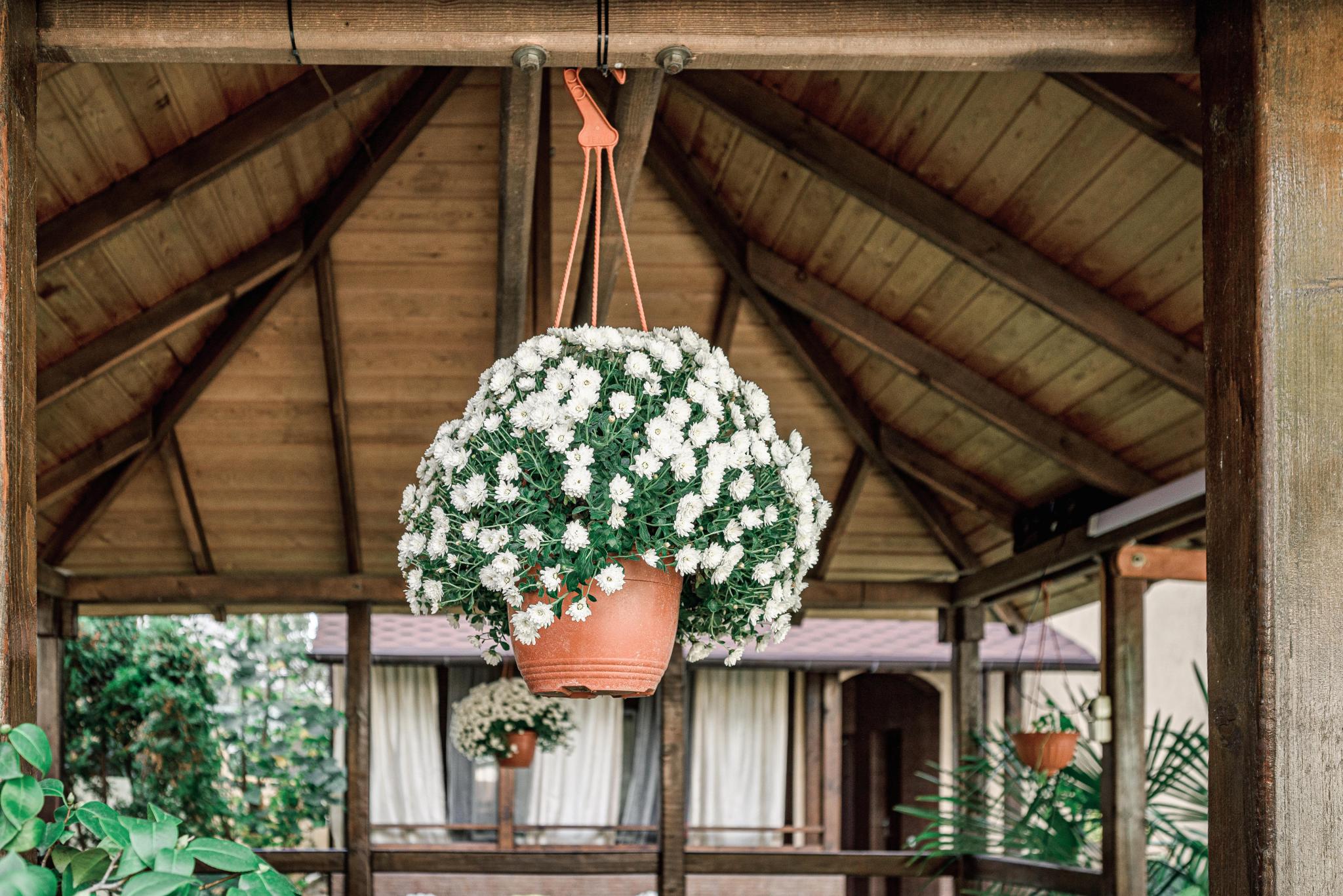 Фото Прованс