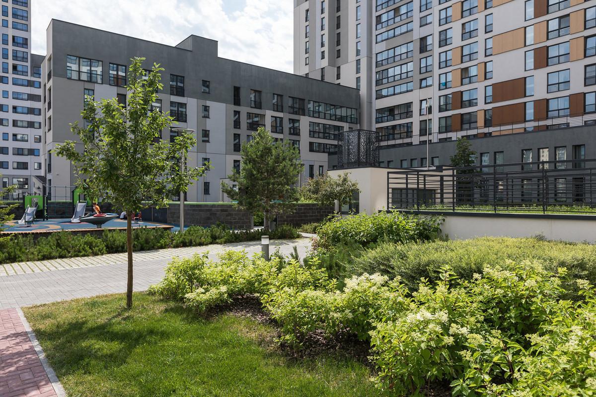 Фото Брусника