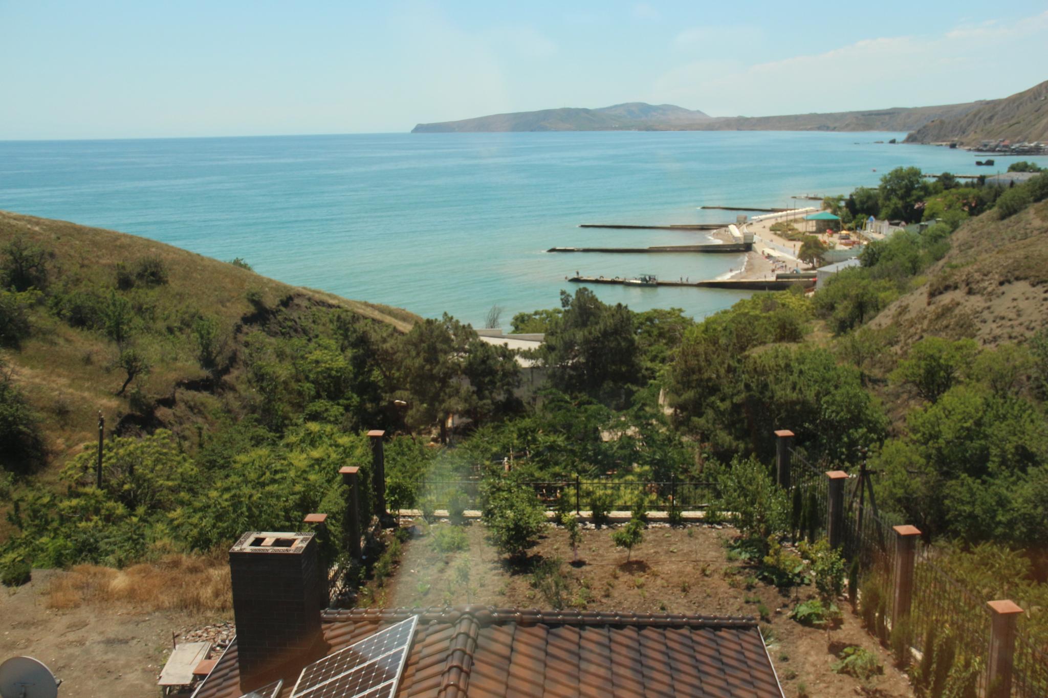 Фото Авокадо