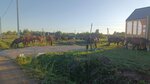 Khozyaystvo Konovalovoy (Moscow Region, Voskresensk Urban District, territoriya Vorshchikovo-4, 1), intensive animal farming