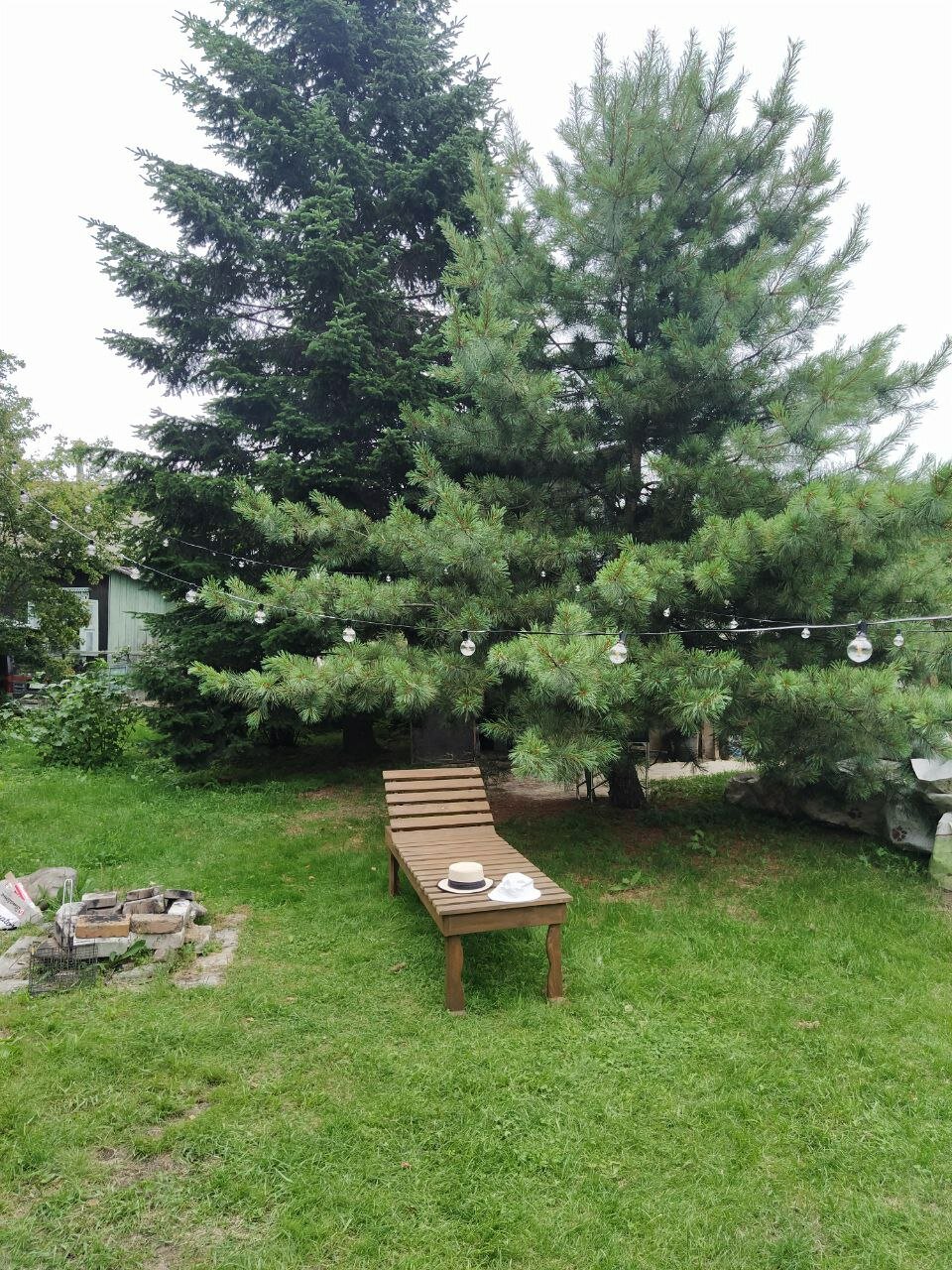 Фото Пидан-Царевич