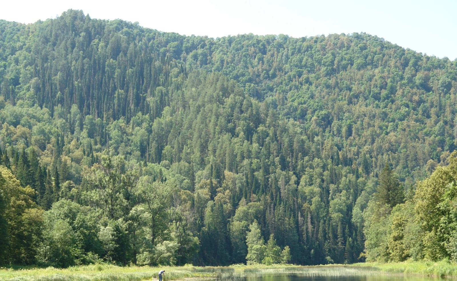 Фото Жемчужина Зилима