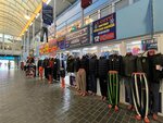 Westland (rabochiy posyolok Oktyabrskiy, ulitsa Lenina, 47), clothing store