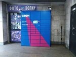 Ozon box (Krasniy Avenue, 157), parcel automat