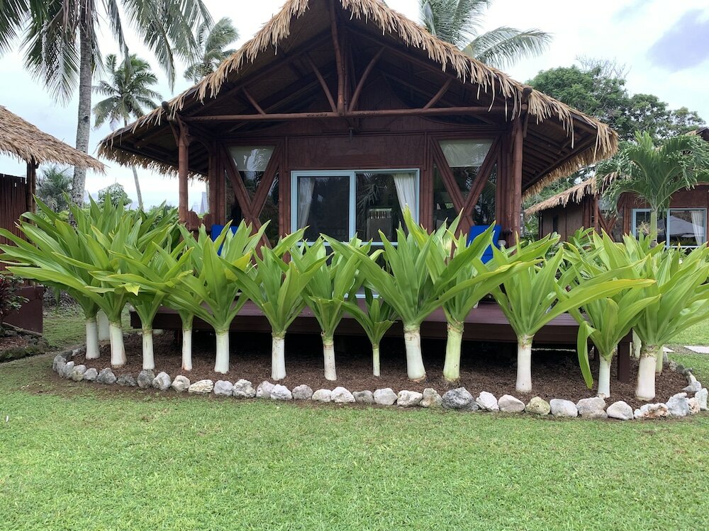 Фото Magic Reef Bungalows