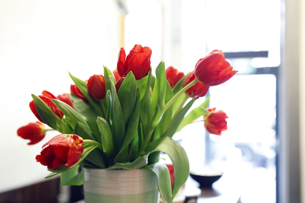 Фото Hotel De Gerstekorrel